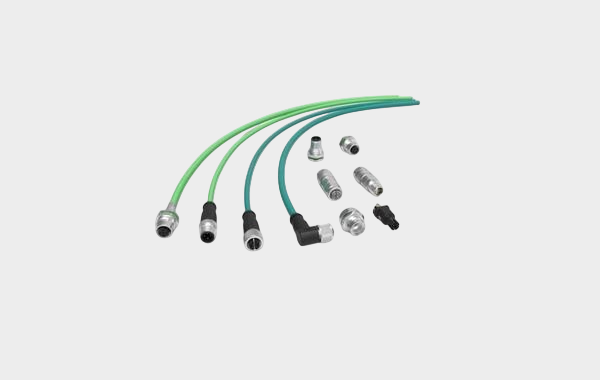 SP International (10) SP International (10)